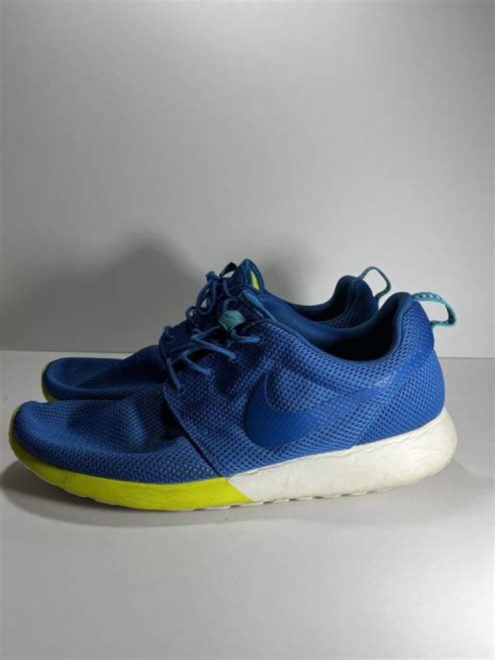 Are roshe runs good for working out?