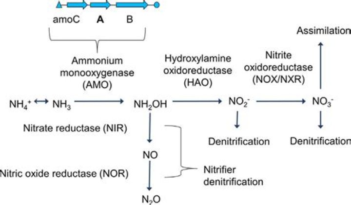 Does ammonium nitrate react with air?