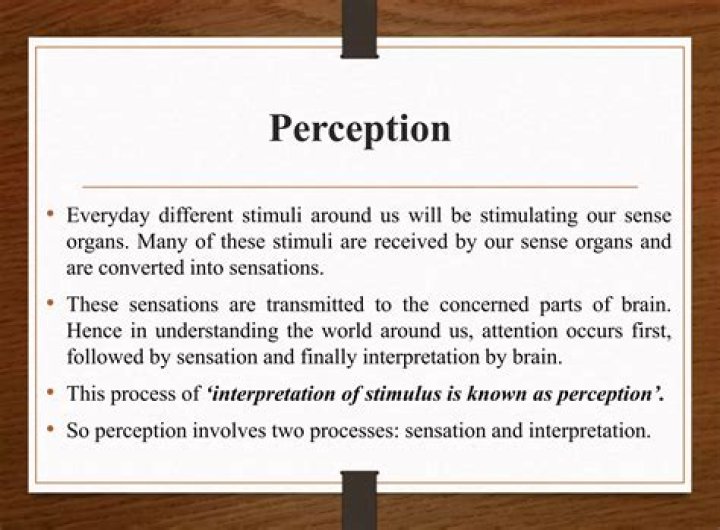 What is perception in human Behaviour?