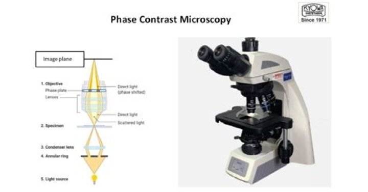 What is phase plate microscope?
