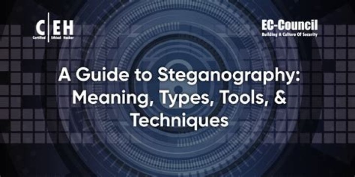 What is the steganography detection tool?